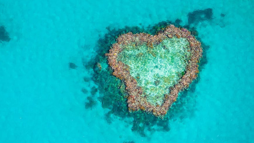 صخره مرجانی بزرگ | Great barrier reef