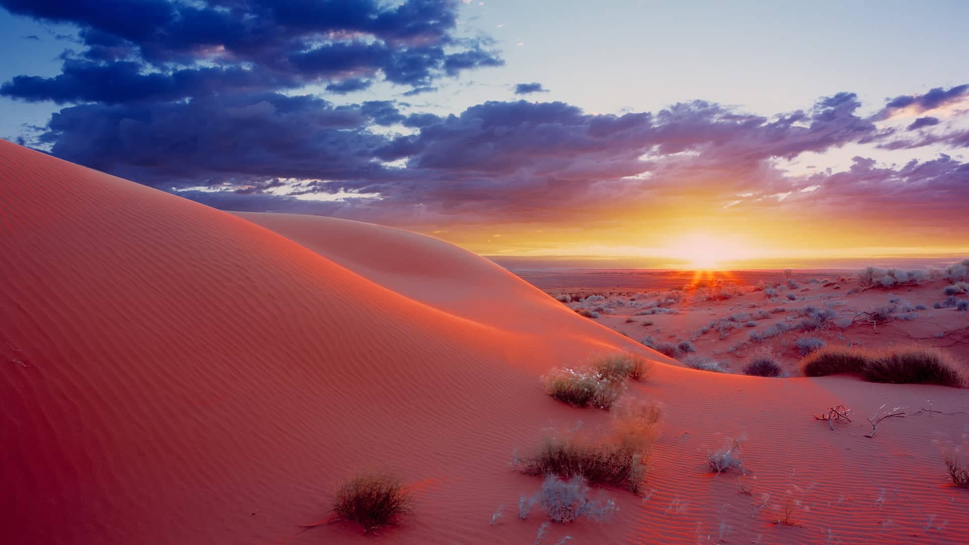 صحرای سیمپسون | Simpson Desert