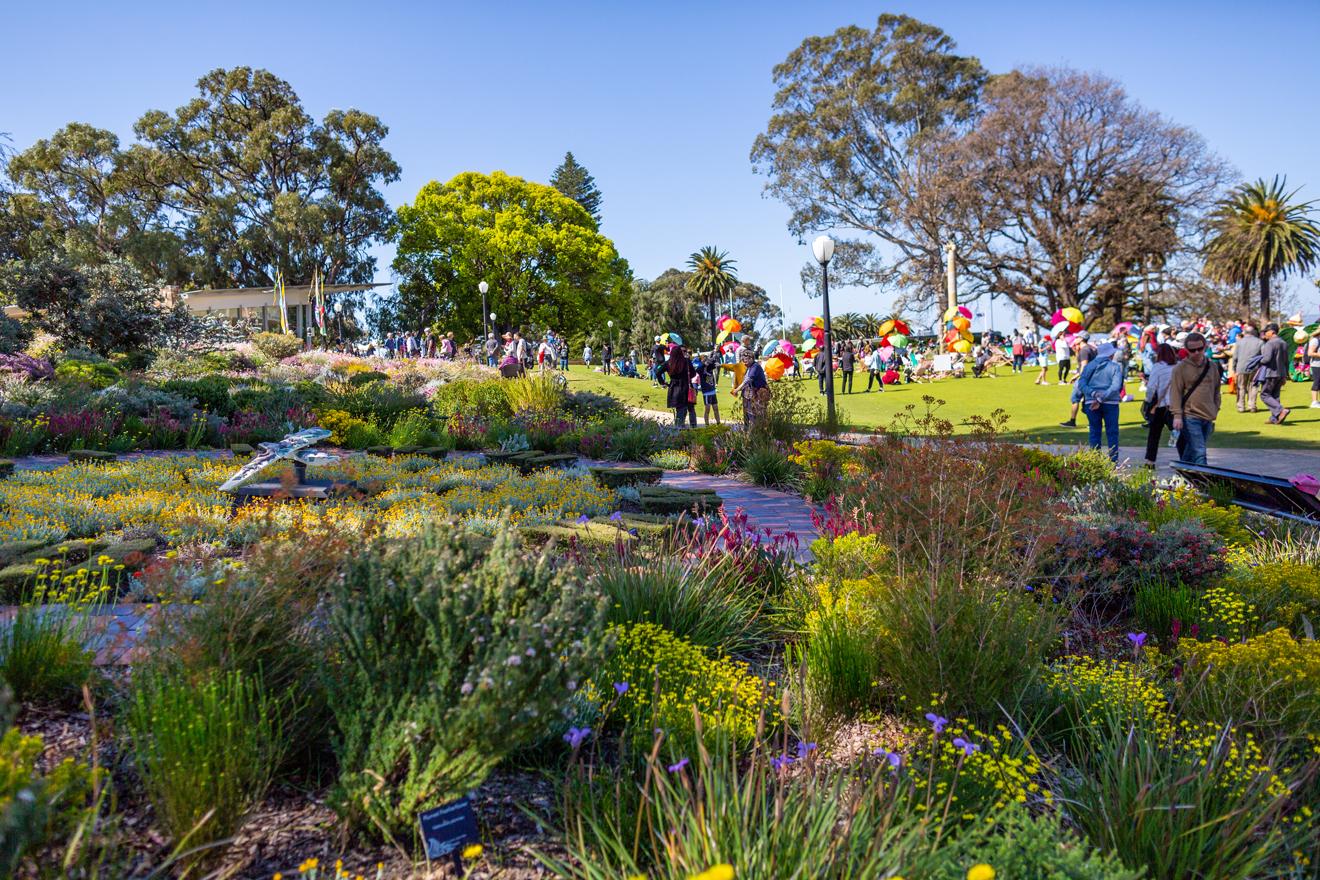Kings Park Festival فستیوال 