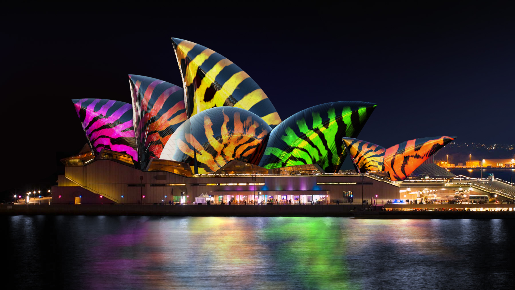 فستیوال زمستانی سالستیس در سیدنی | Sydney Solstice Winter festival